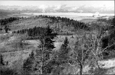 fern ridge for forum.jpg
