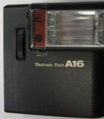 CIMG3100 (Medium).JPG