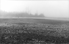 Fog and dry lake for forum.jpg