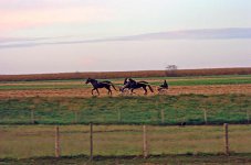 DSC_0235 post rff.jpg