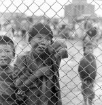 kid-on-fence-2.jpg