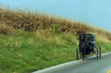 DSC_0259 post rff.jpg