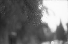 full-frame.jpg