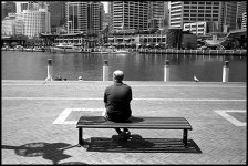 Darling-Harbour-Bench.jpg