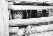fencechild.jpg