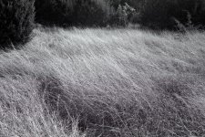 crop0521e.jpg