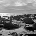Hassy BW11_008-Edit.jpg