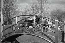 Img063_1.jpg