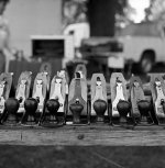 Hassy_BW_04_007.jpg