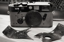 _MG_2922-02.jpg