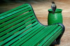 bench.jpg