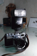 D2X_5486.gif