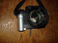 DSC03388.jpg