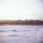 lubitel_0007.jpg