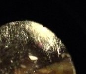 photo (2).jpg