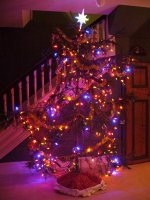 Christmas tree 007 (Large).jpg