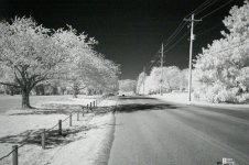 L1000520-2.jpg