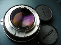 T4 008 (Large).jpg