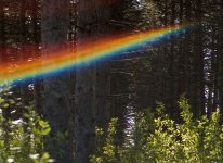 Rainbow.jpg