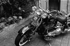 Flowerchopper Sept2016.jpg