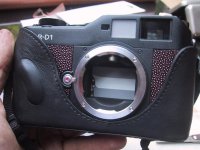 stingray case.jpg