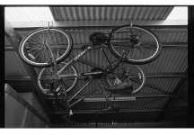 BW428_008.jpg