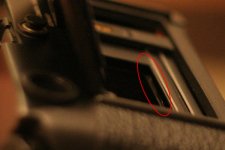 IMG_1398.jpg