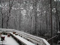 Resize of Snow 3-21-10 012.jpg