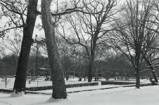 3 March 2011 Snow Scene.jpg