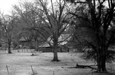 The Old Homestead 300.jpg