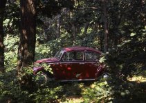 1965 VW a.jpg