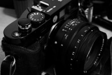 IMG_4073.jpg