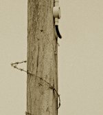 kaikoura #6 detail.jpg