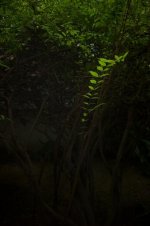 28-1.9 TEST-1000826.jpg