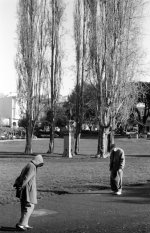 Img179.jpg