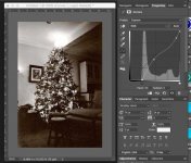 XmasTreeAdjusted.jpg