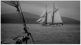 windjammer.jpg