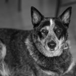 8-28 OSKAR-10.jpg