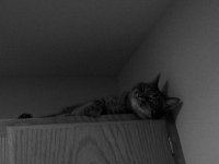 DSCF2797.jpg