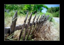 fence.jpg