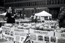 last markets 2009.jpg