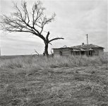 farm house near cotton field.jpg