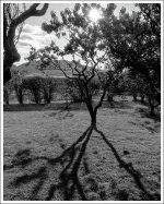 BW178_06.jpg