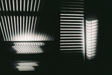 Blinds.jpg