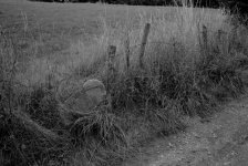 biogon 35mm2.8 fieldedge.jpg