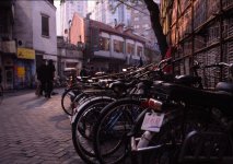 bicycles2b.jpg