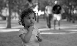 07036- 028bis.jpg