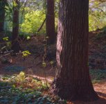 Isolette_11_17001_a ed small.jpg