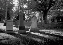 gravestones.gif