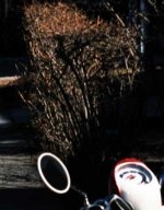 69_Dry_Sign_Focus_100_Crop4-400x511.jpg
